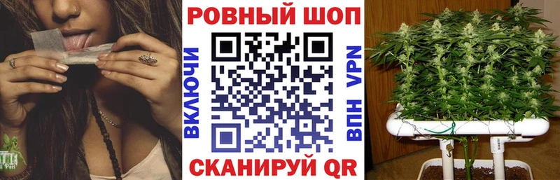 Что такое Ачхой-Мартан Каннабис МЕФ кракен ссылки ГАШ