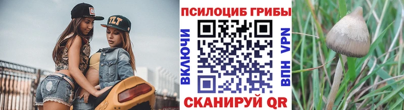 Галлюциногенные грибы мухоморы  Ачхой-Мартан 